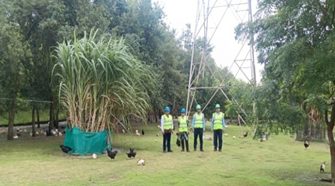 Green belt area inspection, Anuppur, Madhya Pradesh